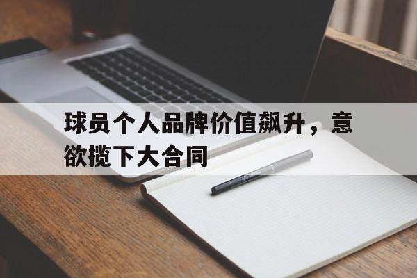 开云体育官网-球员个人品牌价值飙升，意欲揽下大合同