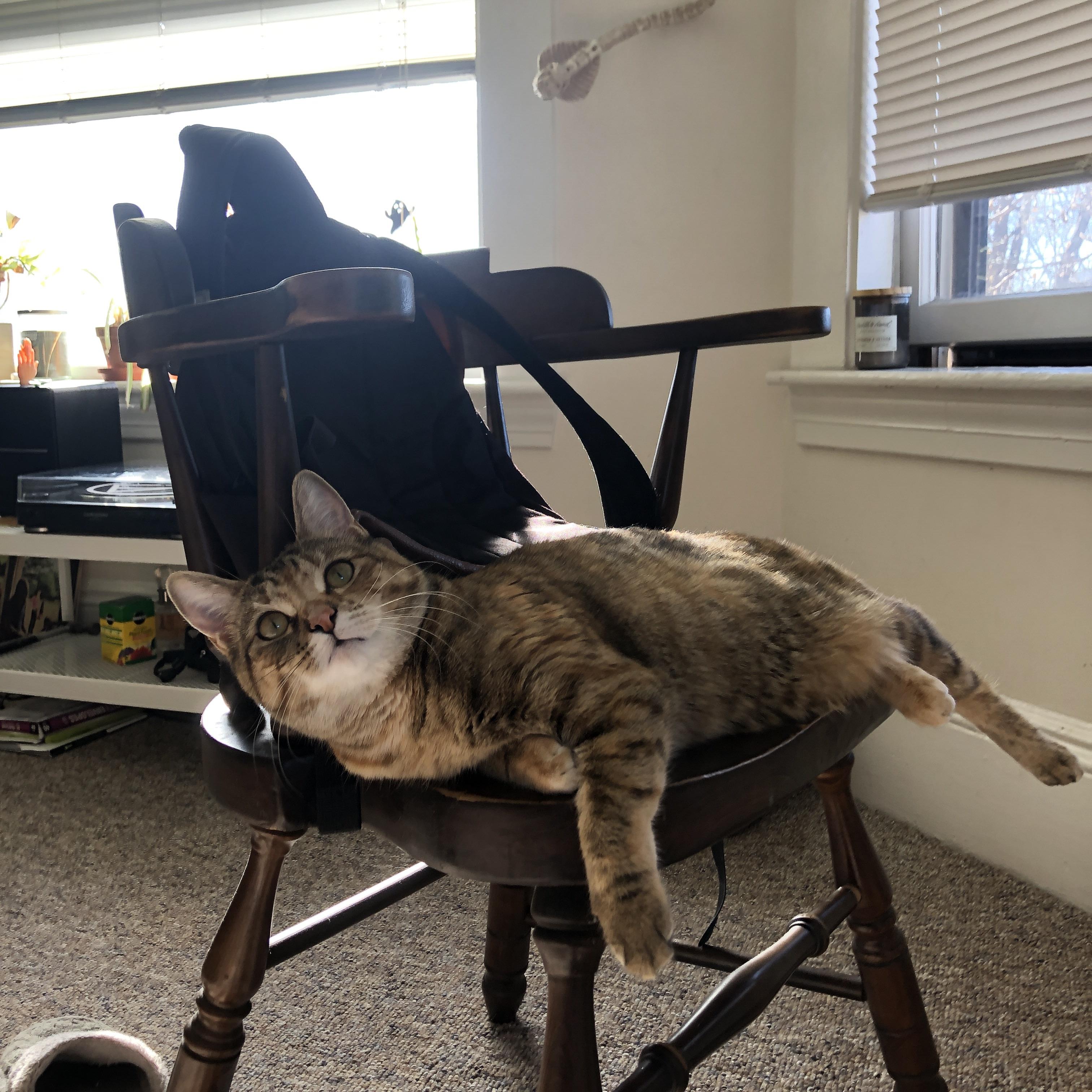 英超争冠焦点战激战正酣，广厦队力克山西队再添胜绩