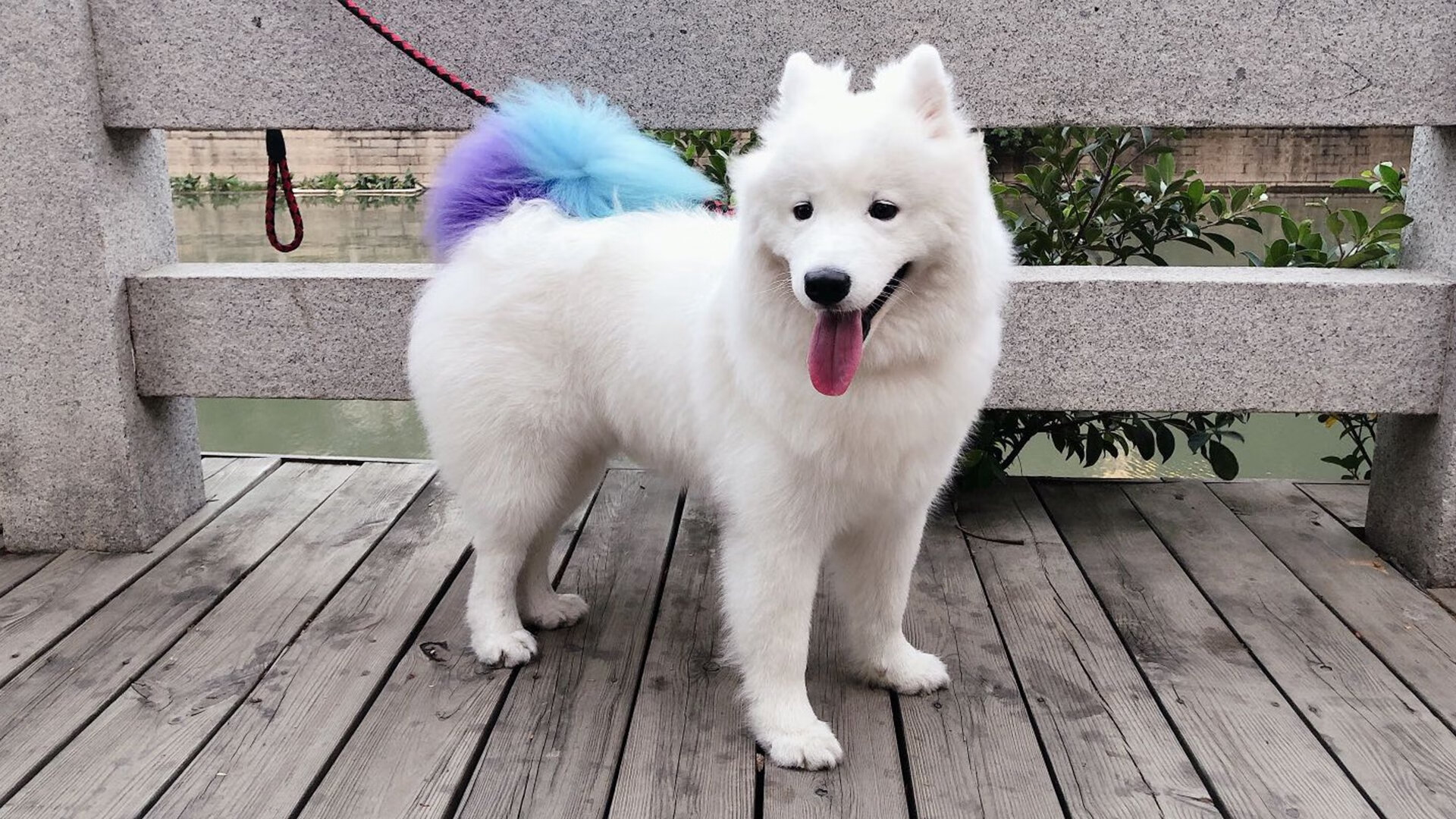 开云体育平台APP-帝王降临，恩比德于年度焦点之夜，谱就制胜史诗