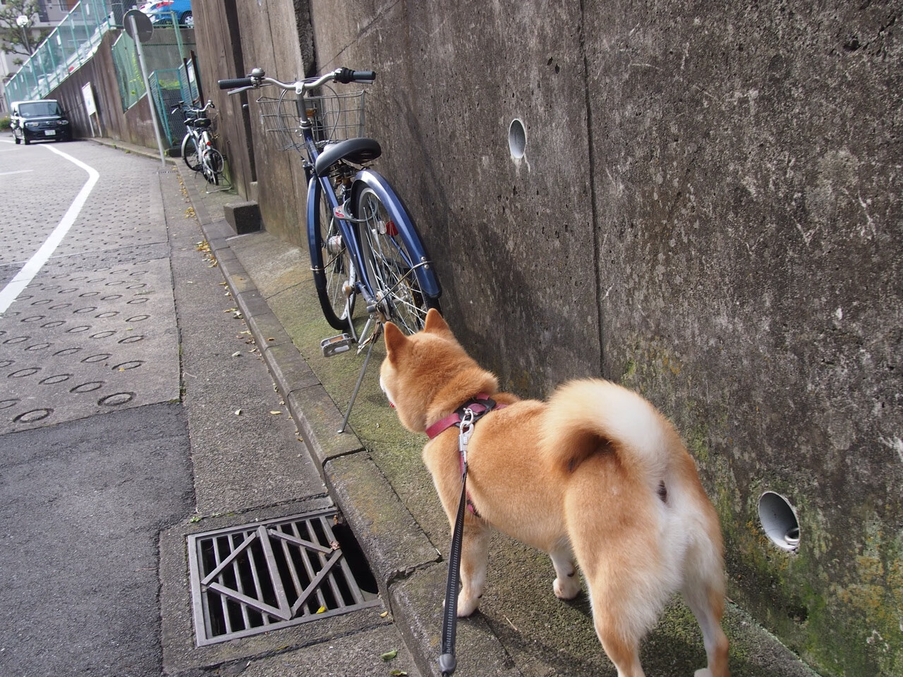 开云体育平台APP-米切尔致命三分定乾坤！尼克斯加时鏖战力克深圳，诠释篮球关键先生真谛