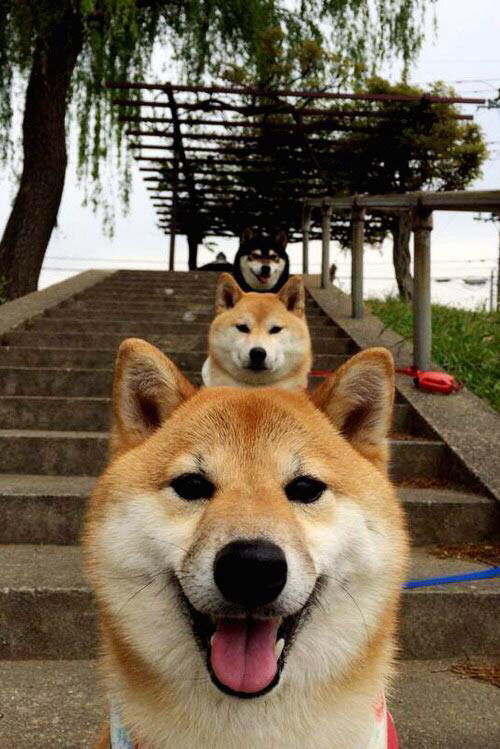 开云下载-运筹帷幄的棋盘,当欧冠淘汰赛之夜照见哈利伯顿的存在感美学