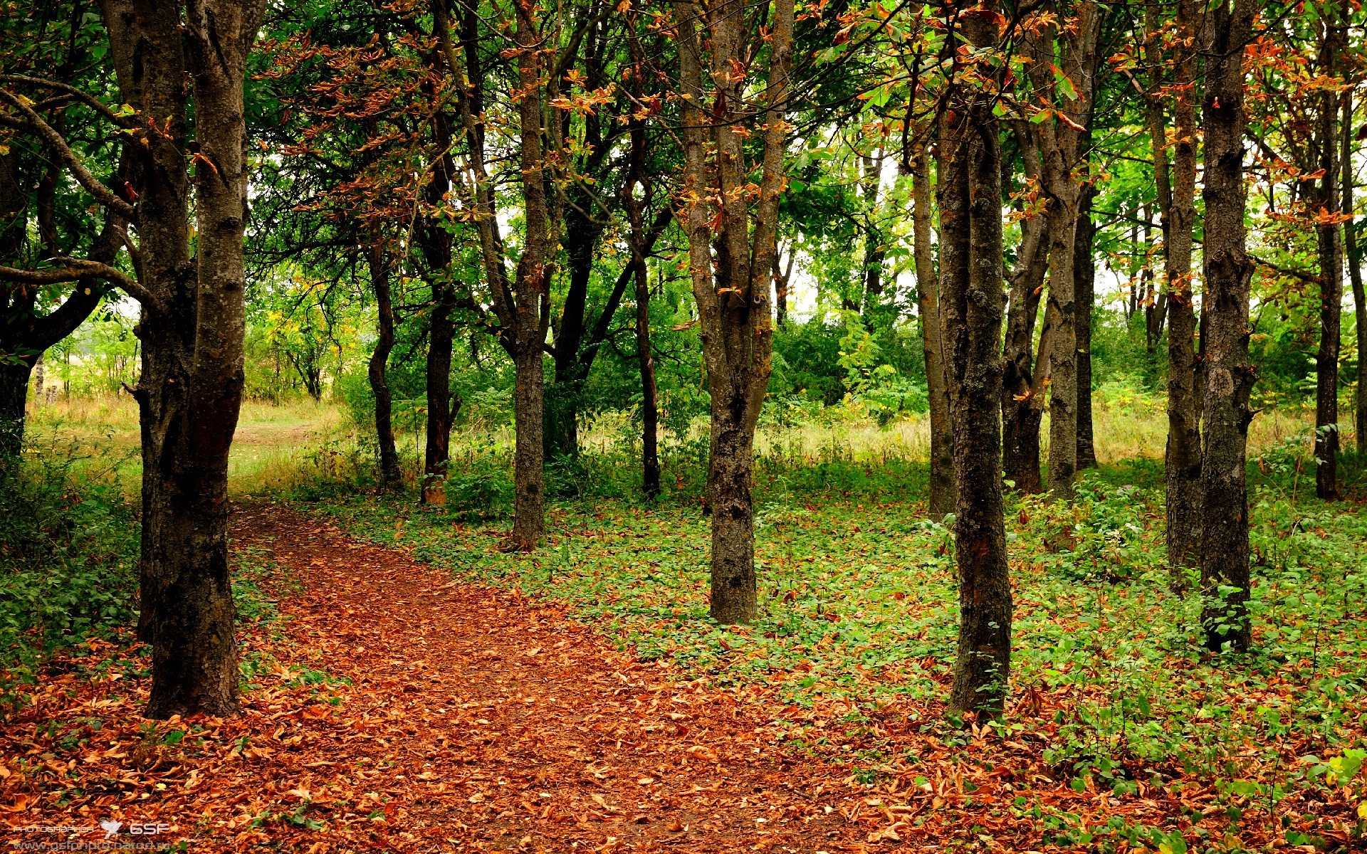 开云体育app-甩掉心魔!塔图姆的救赎一夜