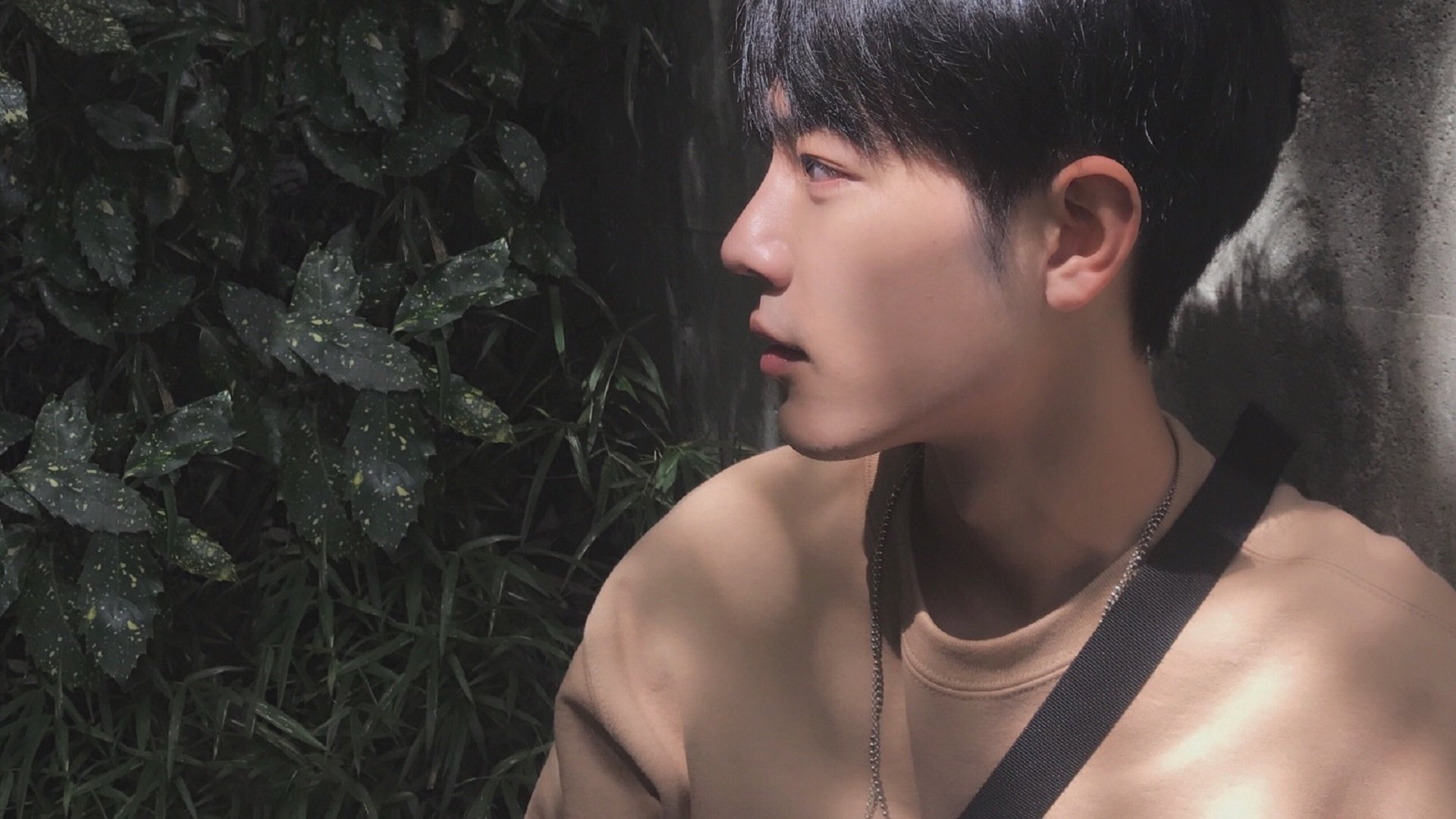 开云体育-草根掀翻巨人！新西兰造切尔西崩塌夜，托尼赛后评分拉满写就草根童话