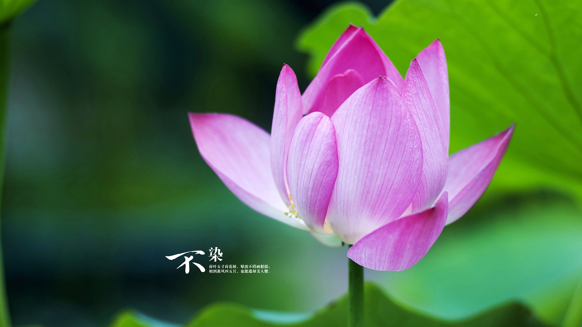 开云体育入口-卡塔尔奇迹！奥亚尔萨瓦尔两连击终结巴萨不败神话