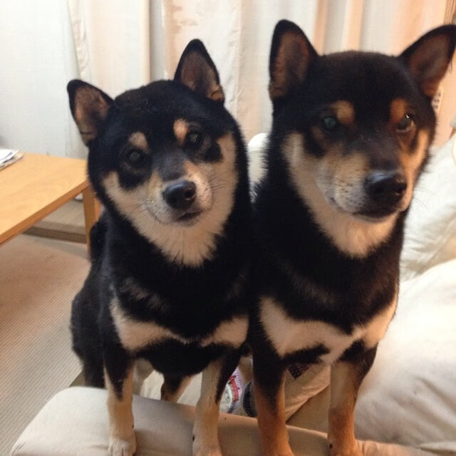 绝地破阵三分雨！范弗利特轰赛季新高42分，带领公牛重返季后赛版图